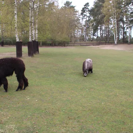 Auszeit Am - 100m Zum - Mit Terrasse - Winter-late-checkout *