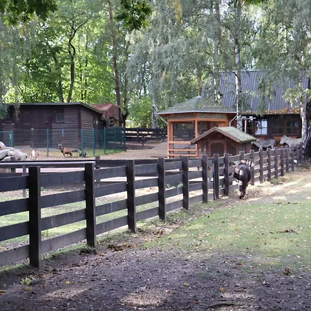 Auszeit Am - 100m Zum - Mit Terrasse - Winter-late-checkout